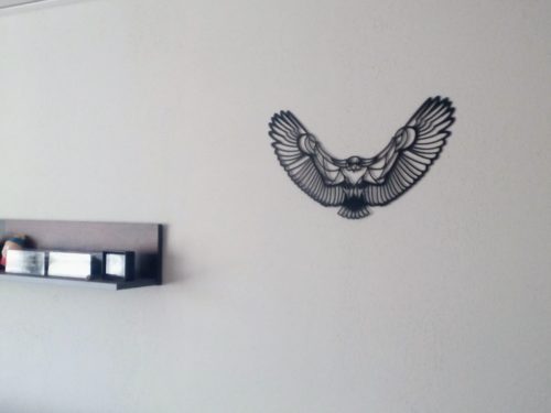 Wall-Art Eagle photo review